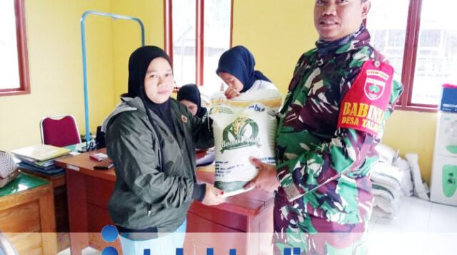 Babinsa Desa Talawe Koramil 1420-03/Maritengngae Lakukan Pendampingan Pembagian Bantuan Pangan